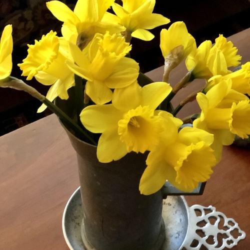 vase of bright yellow daffodils
