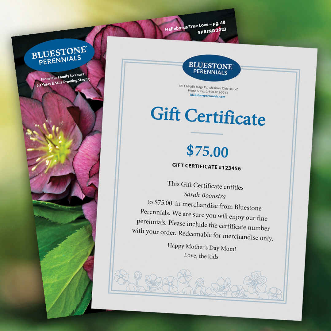Bluestone Perennials gift certificate