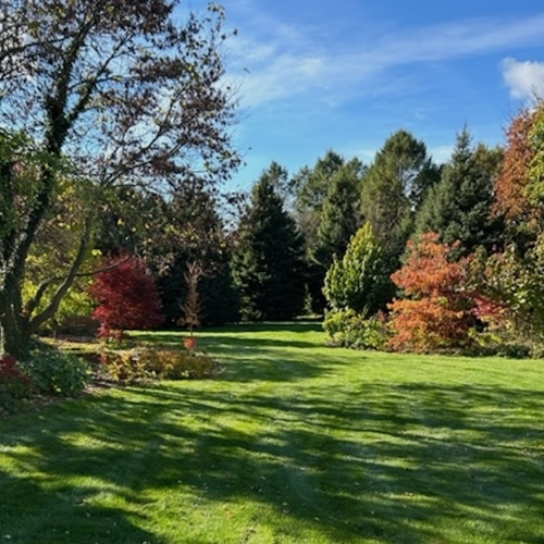 wide view of garden in fall