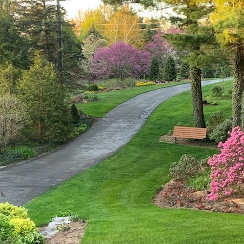 view of long driveway and surrounding gardens