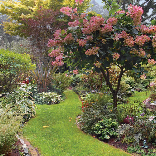 a garden that embraces shade