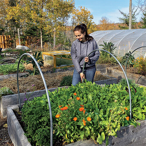 mini hoop tunnels