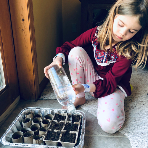 Starting seeds with little ones