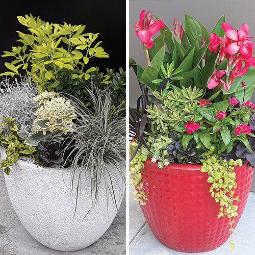 long-lasting containers