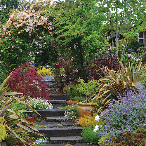 garden in the Pacific Northwest