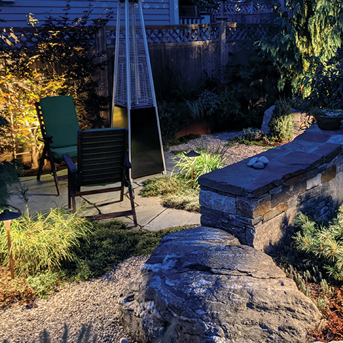 small garden photographed at night