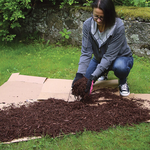 sheet mulching