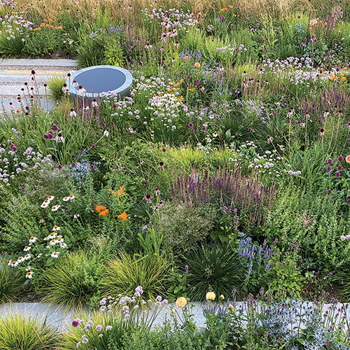 naturalized garden