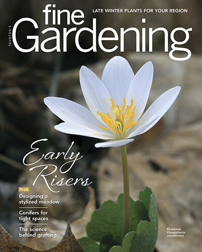 fine gardening issue 209 cover