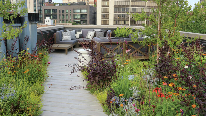 rooftop pollinator garden