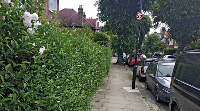 hedge along street helps keep the area cooler in a city