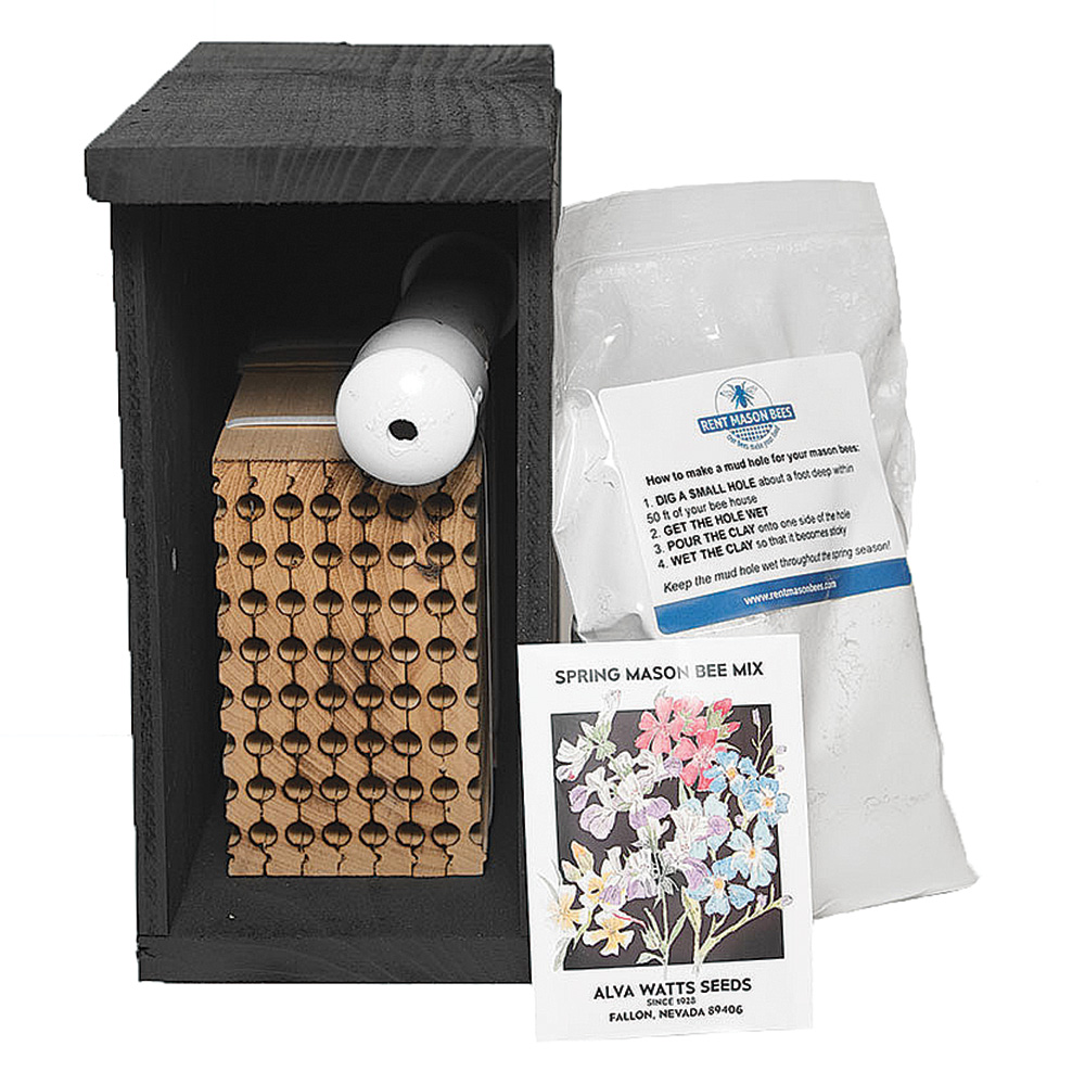 Mason Bee Kit