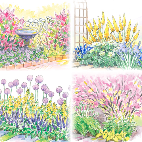 spring plant combinations