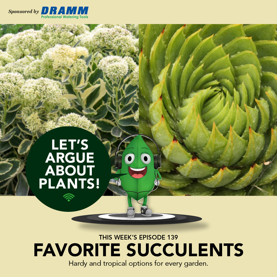 Episode 139: Favorite Succulents
