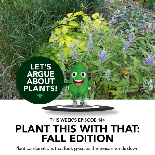 Fine Gardening podcast Episode 144: Plant This with That-Fall Edition