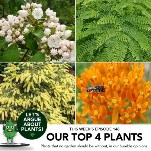 Top Four Plants Text
