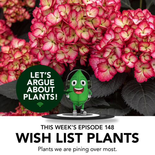 Episode 148: Wish List Plants