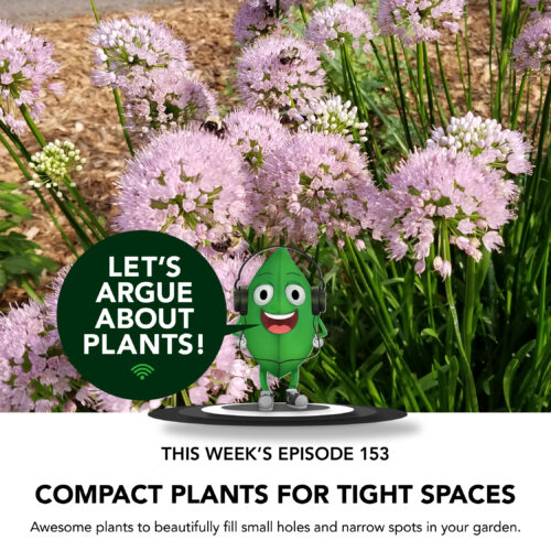 podcast episode compact plants