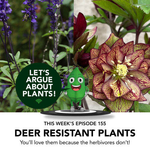 deer-resistant plants