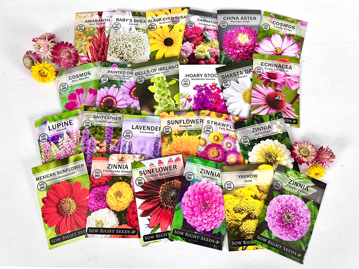 various packets of flower seeds