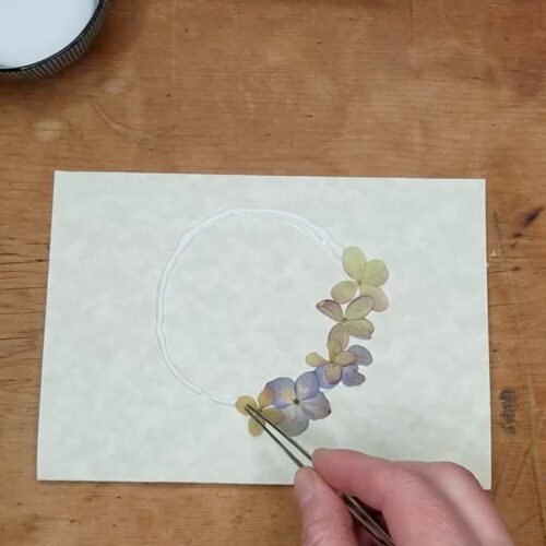 designing botanical notecards