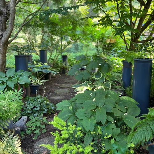 shady garden path lined with tall blue containers