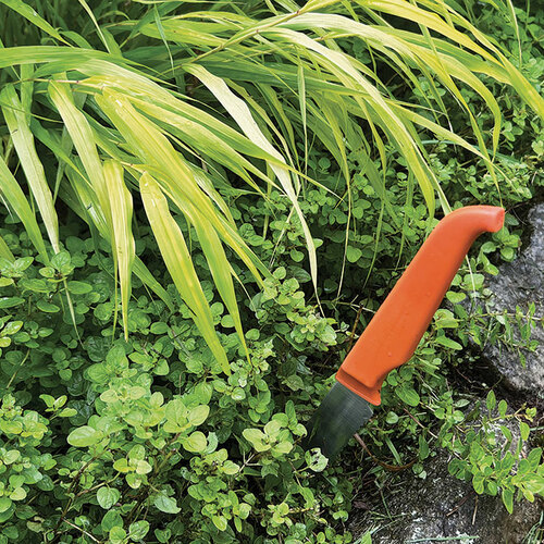 serrated kitchen knife stuck into a garden bed