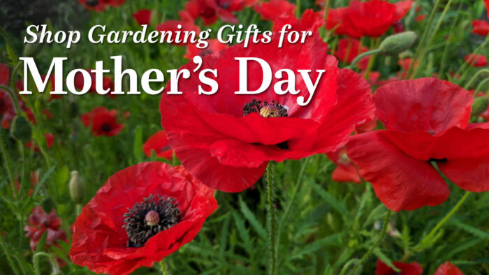 gardening gift ideas for mother's day
