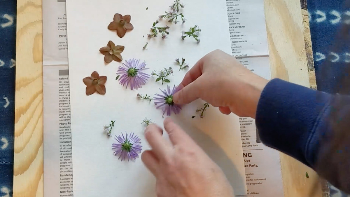 pressing flowers