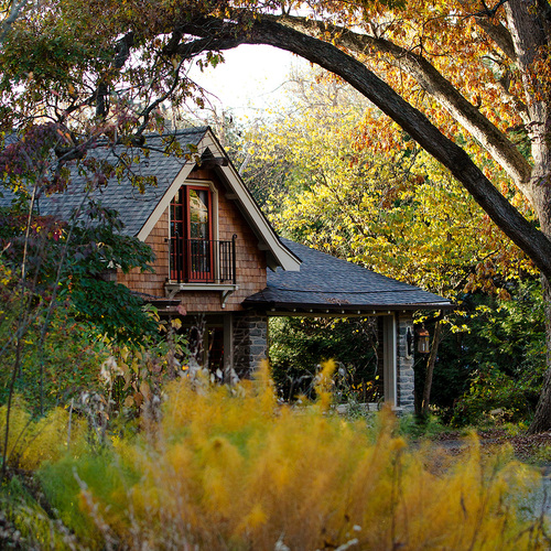 native lawn alternatives